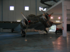 museo aeronautico Vigna di valle (119).jpg